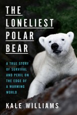 The Loneliest Polar Bear