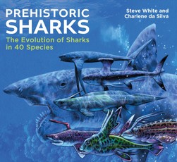 Prehistoric Sharks