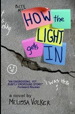 How the Light gets In