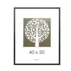 Rėmelis 40x50cm tams.medžio sp.