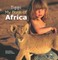 Tippi My Book of Africa