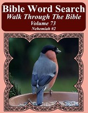 Bible Word Search Walk Through The Bible Volume 73