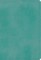 ESV Student Study Bible (Trutone, Turquoise)