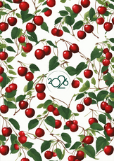 2026 m. A5 darbo kalendorius BALTOS VYŠNIOS