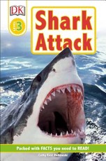 Shark Attack!