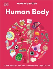 Eyewonder Human Body