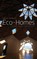 Eco-Homes