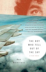 The Boy Who Fell Out of the Sky