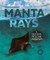 Manta Rays