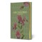 Mrs. Dalloway