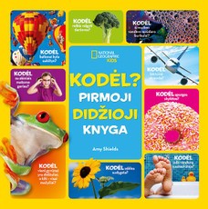 Kodėl? Pirmoji didžioji knyga