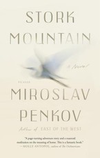 Stork Mountain