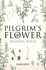 Pilgrim's Flower