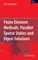 Finite Element Methods: