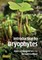 Introduction to Bryophytes