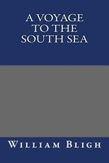 A Voyage to the South Sea