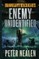 Enemy Unidentified