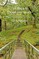 Ten Steps to Exceptional Health