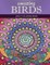 Amazing Birds