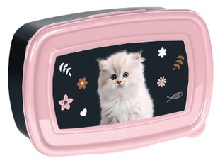 Dėžutė CAT PP25CO-3022