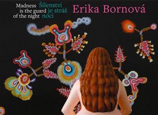 Erika BornovÃ¡ Madness Is the Guard of the Night