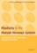 Plasticity in the Human Nervous System