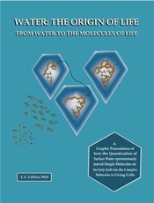 Water: The Origin of Life from Water to the Molecules of Life