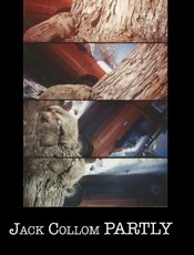 Partly