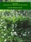 Blessings: Adventures of a Madcap Christian Scientist