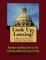 Look Up, Lansing! A Walking Tour of Lansing, Michigan