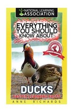Everything You Should Know About