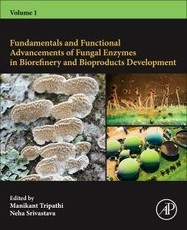 Fundamentals and Functional Advancements of Fungal Enzymes in Biorefinery and Bioproducts Development