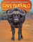 Cape Buffalo