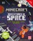 Minecraft Incredible Space
