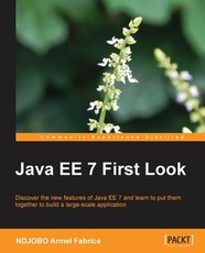 Java Ee 7 First Look