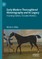 Early Modern Thoroughbred Historiography and its Legacy