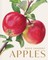 Rosie Sanders' Apples