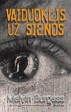 Vaiduoklis už sienos