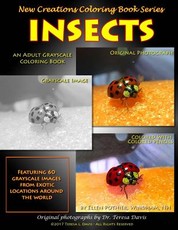 New Creations Coloring Book Series