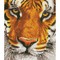 Deimantinė mozaika BENGAL MAGIC 42x36