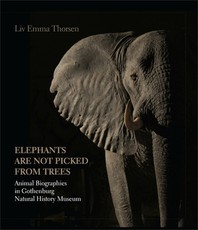 'Elephants Are Not Picked from Trees'
