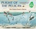 Plight of the Pelican