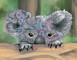 Deimantinė mozaika HIDE N SEEK KOALA 45,5x35,5