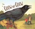 Crow Not Crow