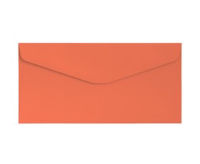 Vokai DL GLADKI 120g 10vnt koralų