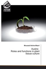 Auxins