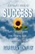 The Little Book of Success