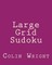 Large Grid Sudoku