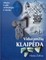 Viduramžių Klaipėda: miestas ir pilis, archeologija ir istorija