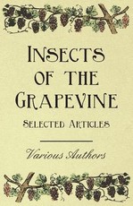Insects of the Grapevine - Selected Articles